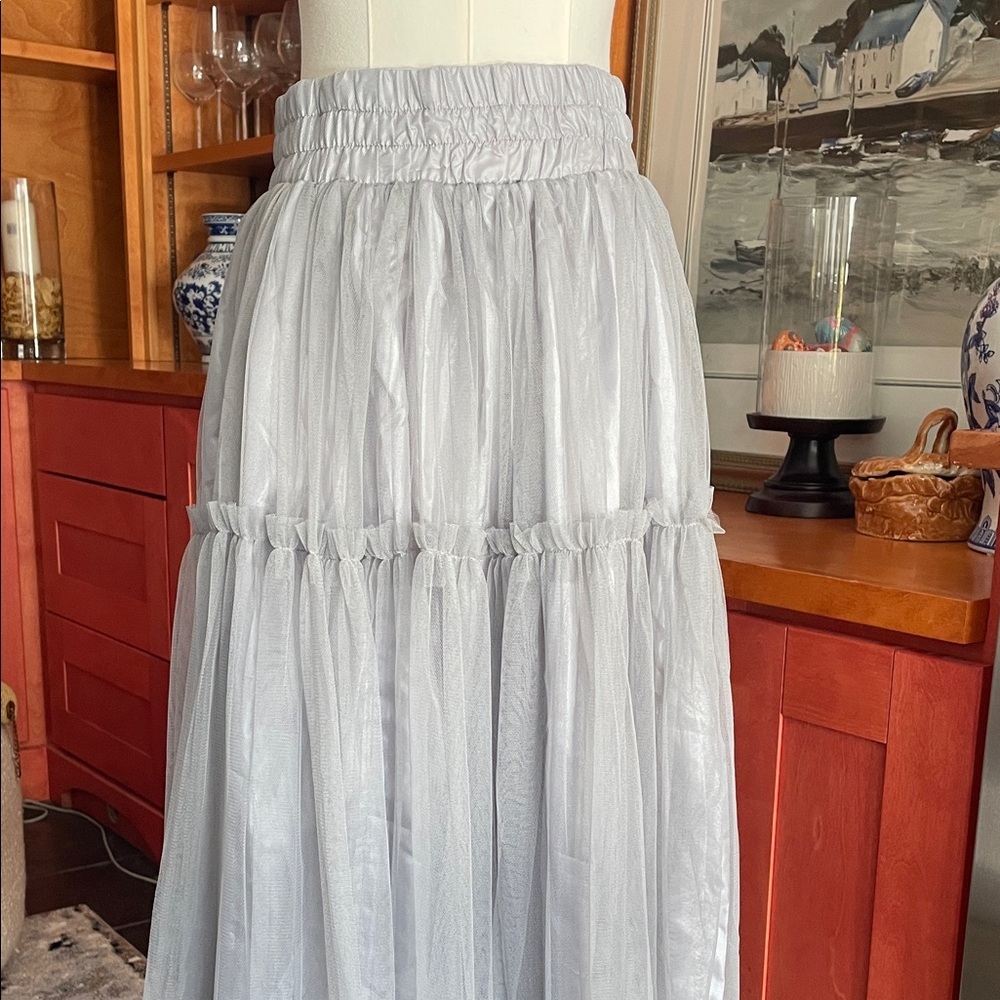 Ryu Light Gray Midi Skirt TULLE Holiday NWT Small - Picture 2 of 8